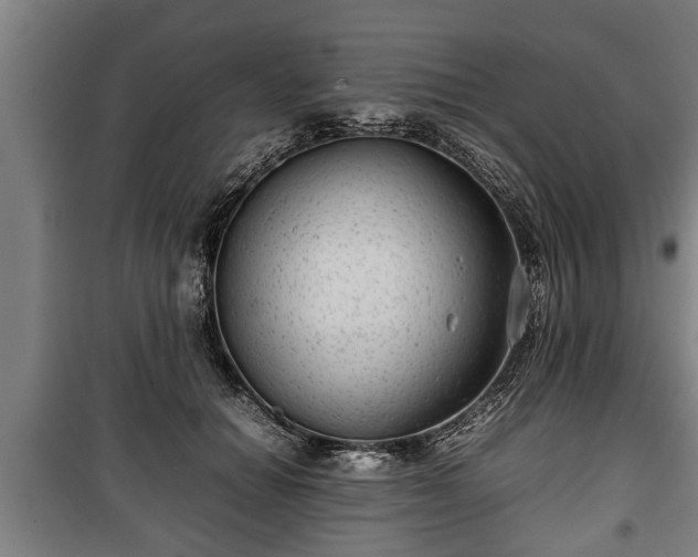 X0000100190654200806061259