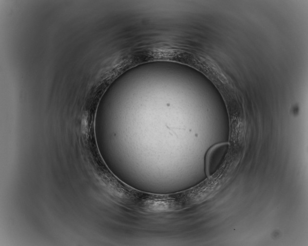 X0000100190655200806061259