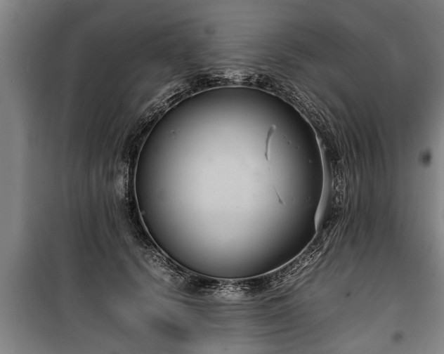 X0000100190656200806061259