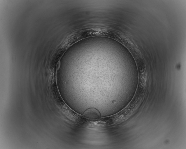 X0000100190657200806061259