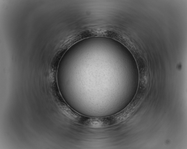 X0000100190658200806061259