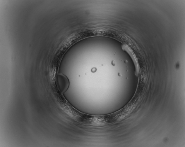 X0000100190660200806061259