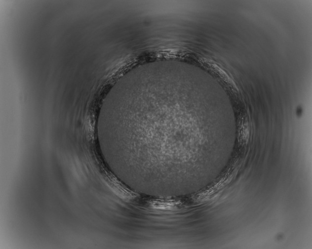 X0000100190661200806061259