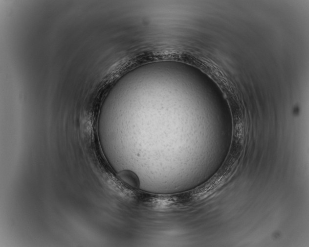 X0000100190662200806061300