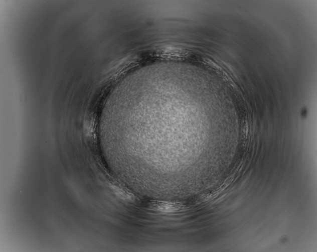 X0000100190663200806061300