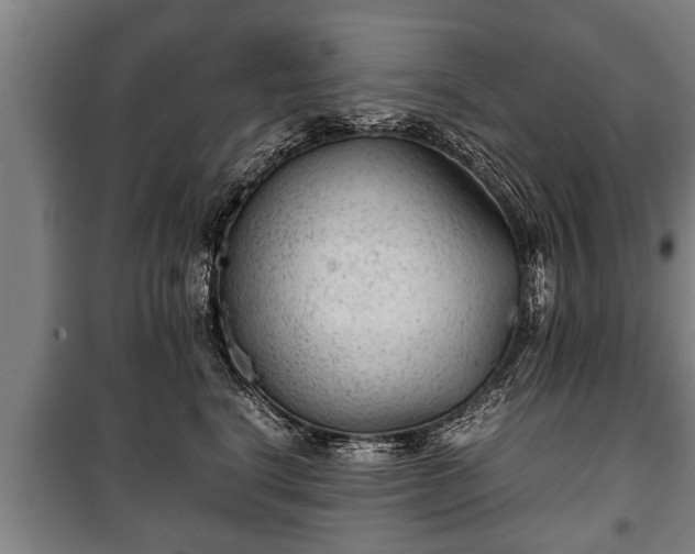 X0000100190664200806061300