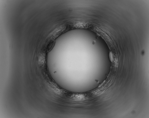 X0000100190665200806061300