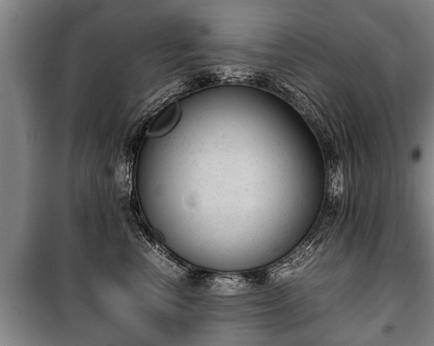 X0000100190666200806061300