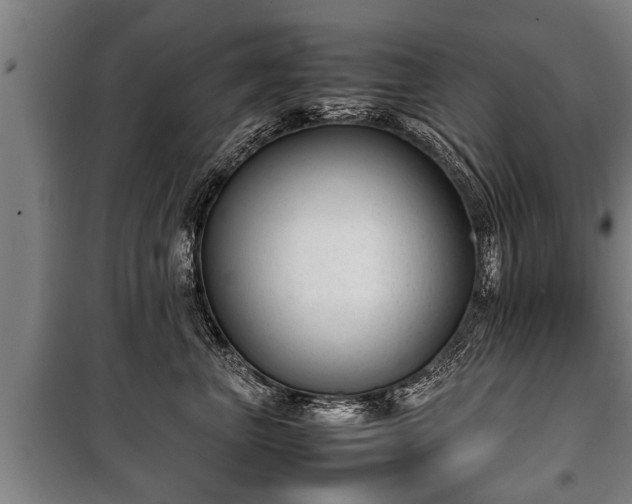 X0000100190667200806061300