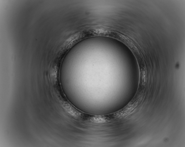 X0000100190668200806061300