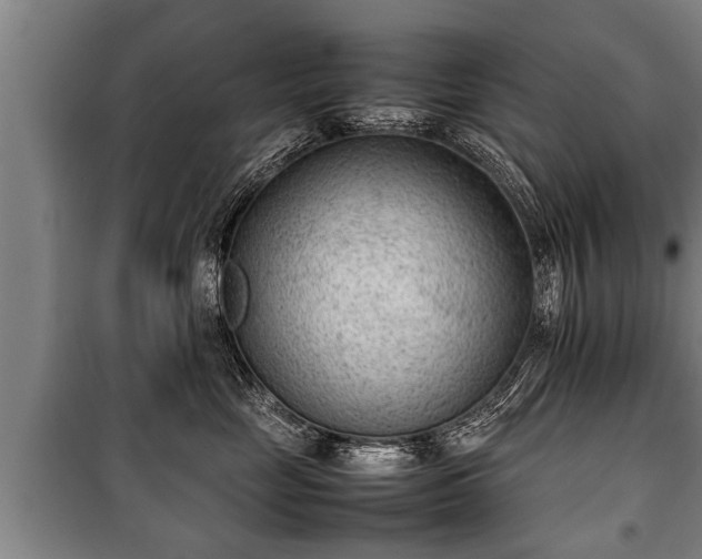 X0000100190669200806061300