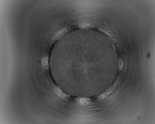 X0000100190670200806061300