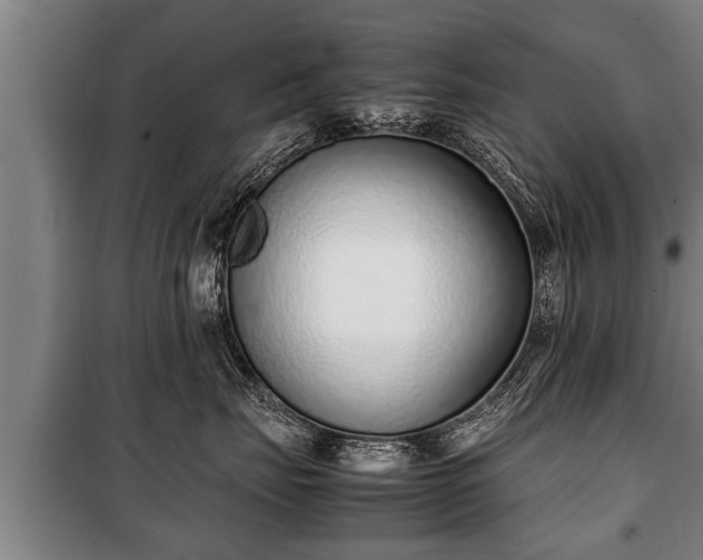 X0000100190671200806061300