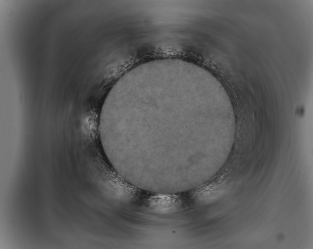 X0000100190672200806061300