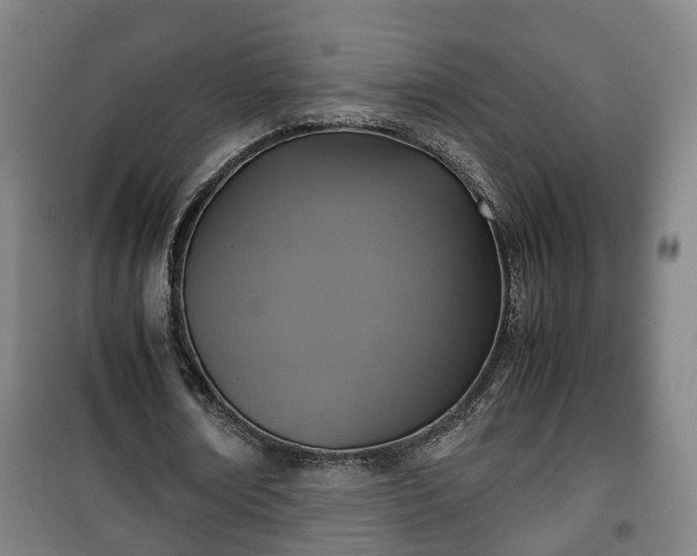 X0000100190674200806061259