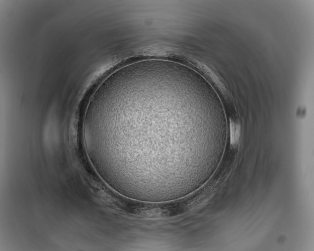 X0000100190675200806061259