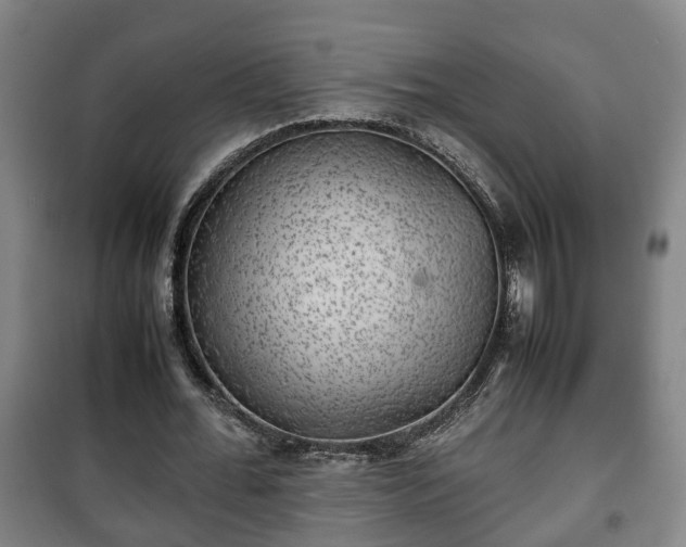 X0000100190676200806061259