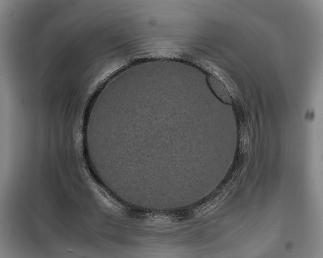 X0000100190677200806061259