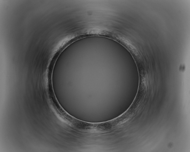 X0000100190678200806061259