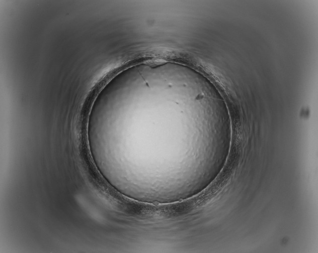 X0000100190679200806061259