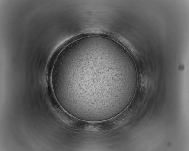 X0000100190680200806061259