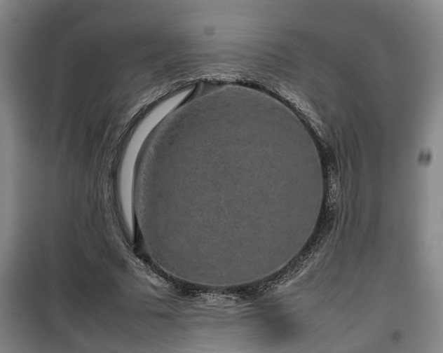 X0000100190681200806061259