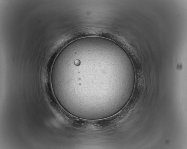 X0000100190683200806061259