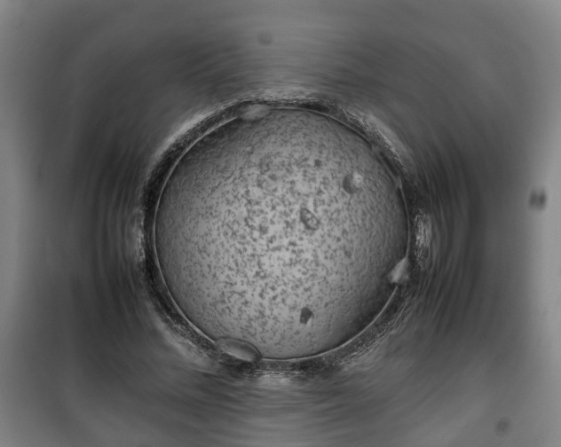 X0000100190684200806061259