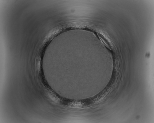 X0000100190685200806061259