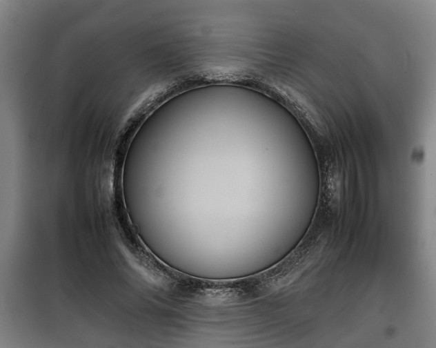 X0000100190686200806061259