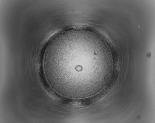 X0000100190687200806061259