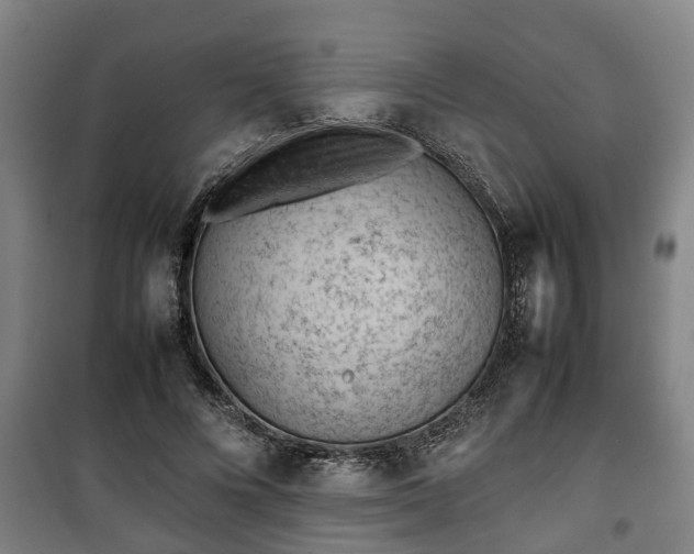 X0000100190688200806061259