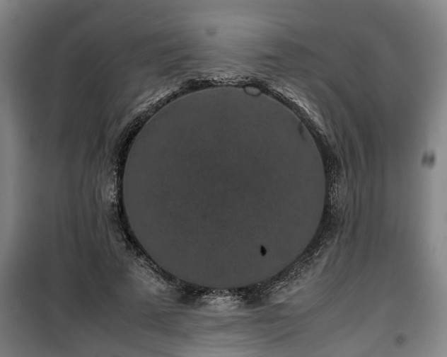 X0000100190689200806061259