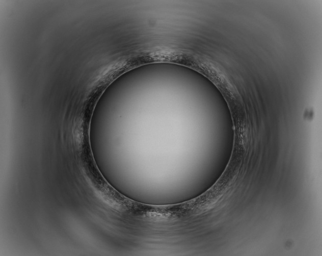 X0000100190690200806061259