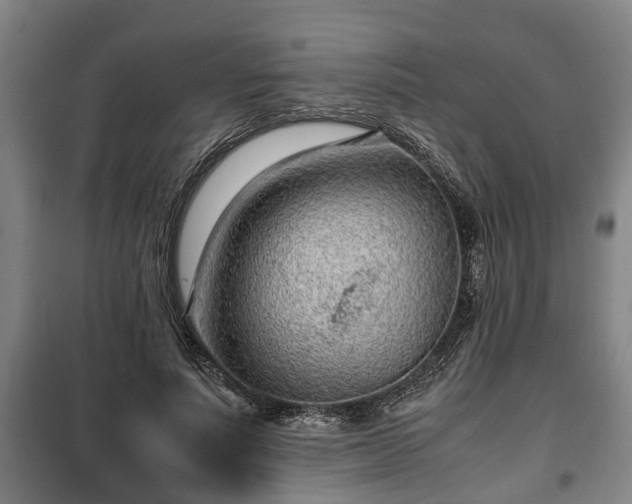 X0000100190691200806061259