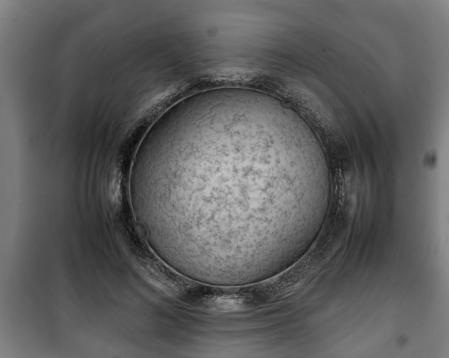 X0000100190692200806061259