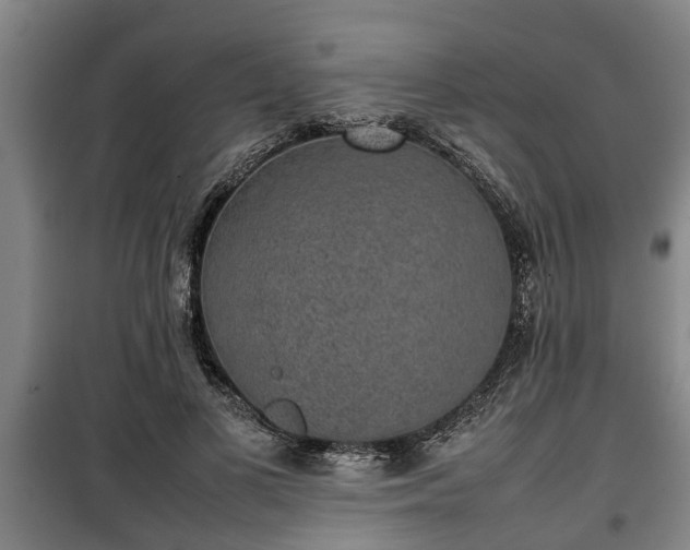 X0000100190693200806061259