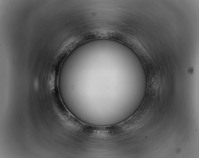 X0000100190694200806061259