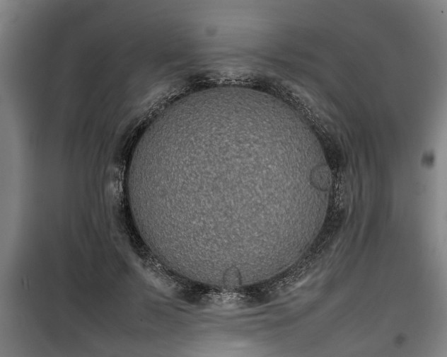 X0000100190695200806061259