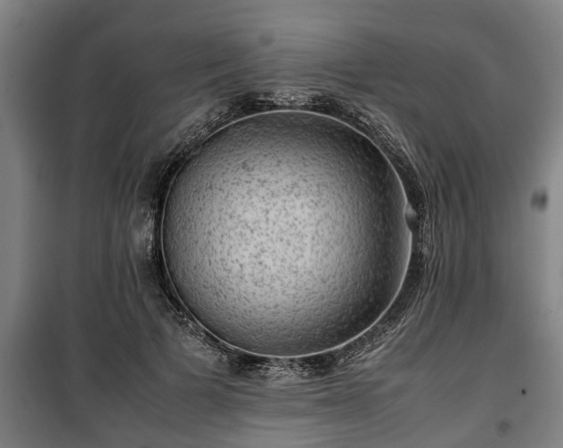 X0000100190697200806061258