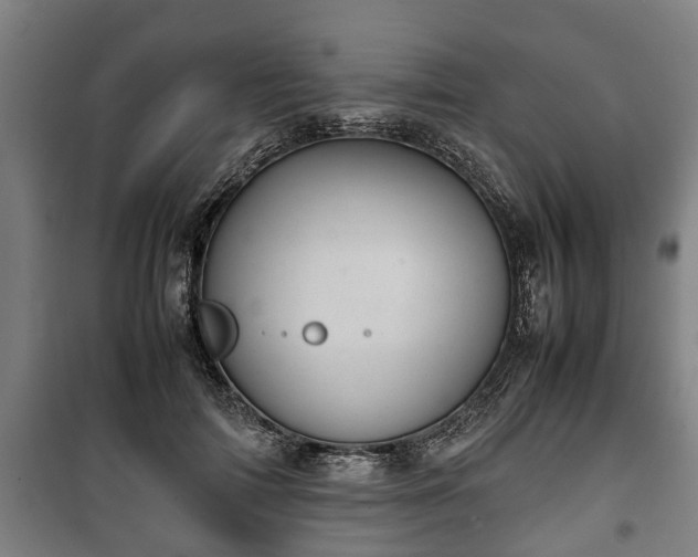 X0000100190698200806061258