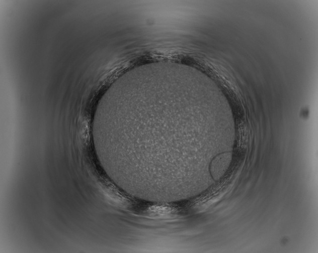 X0000100190699200806061258