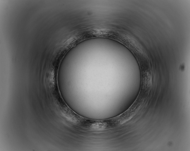 X0000100190700200806061258