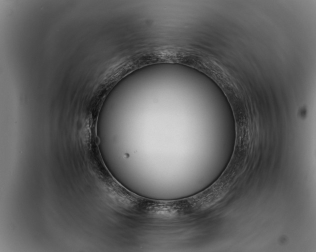 X0000100190702200806061258