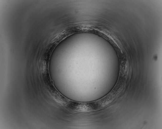 X0000100190704200806061258