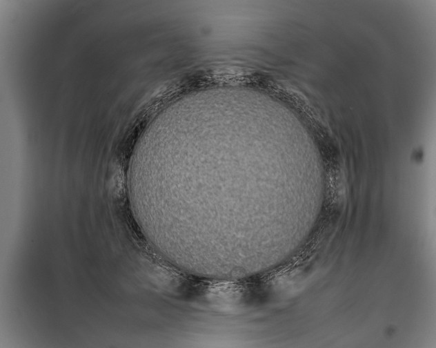 X0000100190705200806061258