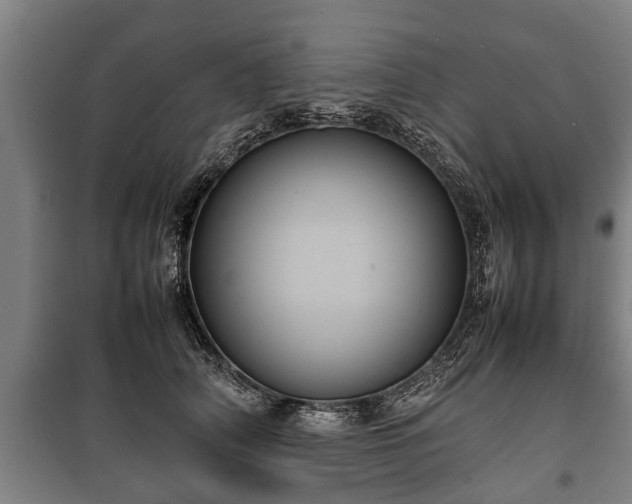 X0000100190706200806061258