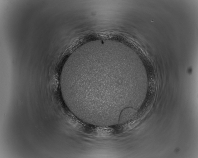 X0000100190707200806061258