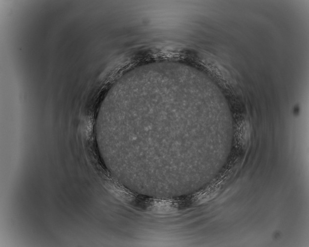 X0000100190709200806061258