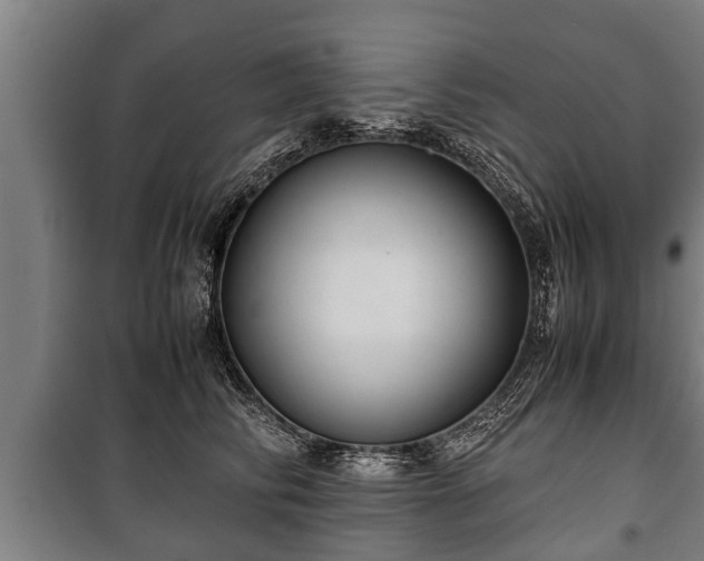 X0000100190710200806061258